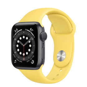 Apple Watch Series 6: 44mm