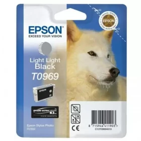 Epson T096 light black ink cartridge