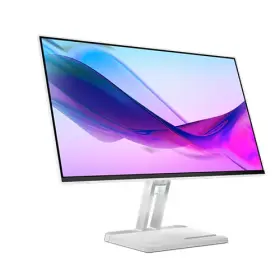 Lenovo L24i-4A 23.8" FHD Monitor